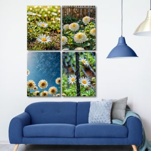 Set of 4 Nature Canvas | 6908